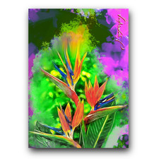 Bird of Paradise #2 Art Card Limited 31/50 Edward Vela Signed (- -)