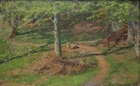 Viggo Pedersen. Path in a beech forest, early spring 1886
