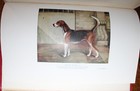 Bild 21 von 22