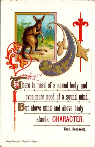 Postales y citas de animales en relieve de la serie Roosevelt 1910 - Imagen 6 de 9