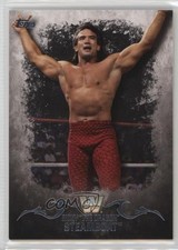 2016 Topps WWE Undisputed Ricky The Dragon Steamboat #82 8d4