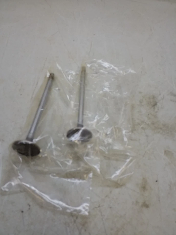 V-4481 Juego de 2 válvulas de admisión de motor eléctrico sellado Foto 3 de 3