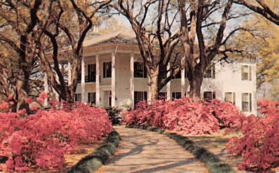Mitchell Home Mobile Alabama Braxton John Bragg