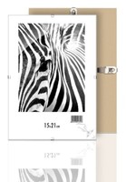 Rahmenloser Bilderrahmen, BildträGer Mit Clip, Rahmen Kunstglas Plexi 15X21 Cm