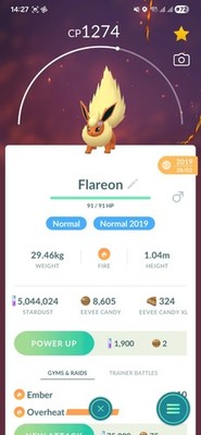 Flareon ( Flower Crown ) ( Caught In 2019 ) Pokemon Tr@de Go