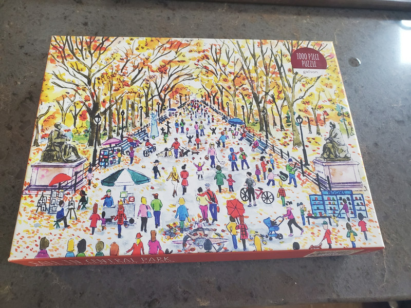 Galison  FALLIN CENTRAL PARK  – 1000 Piece Puzzle BY MICHAEL STORRINGS NEW