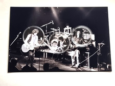 Nikki Sudden - 1 Original Live Foto - 10 x 15