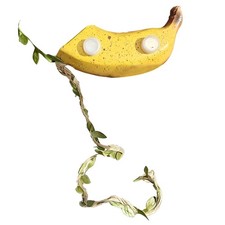 Jumping Spider Hideout Habitat Climbing Accessories for Jumping Spider Enclosure