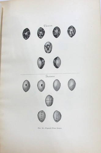 1st Annual Report of the Bureau of Ethnology 1879-1880 w/ Map & Color Plates - Imagen 10 de 11