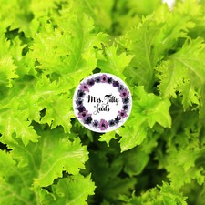 Salat WASABINO 100 Samen Asiasalat Brassica japonica aus biologischem Anbau