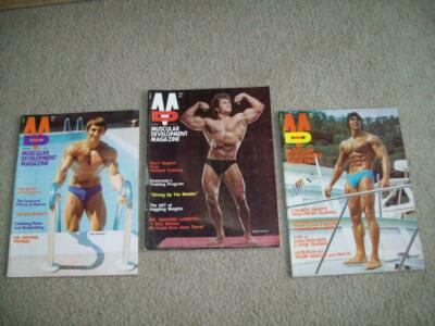 3 vtg MUSCULAR DEVELOPMENT 1974 Arnold BODYBUILDING York Barbell FITNESS abs GYM