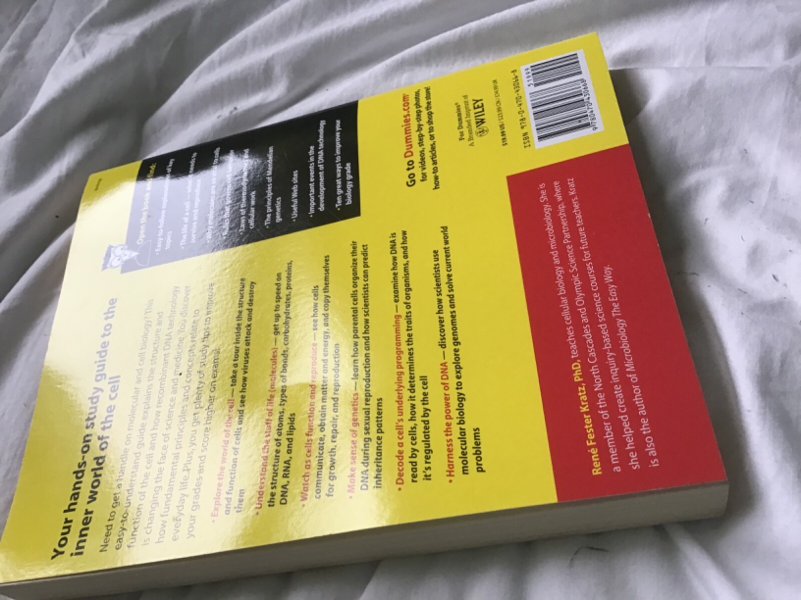 Molecular and Cell Biology For Dummies by Rene Fester Kratz (Paperback