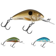 Salmo Hornet Esche Artificiali 4cm Galleggianti Esca Pesciolini Wels Vere Barbe