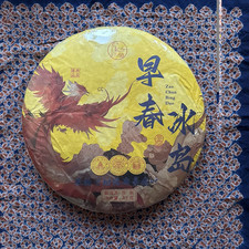 3kg ciasta! 2019 wczesna wiosna herbata Bingdao Premium Pu-Erh - tylko 199 legendarnych