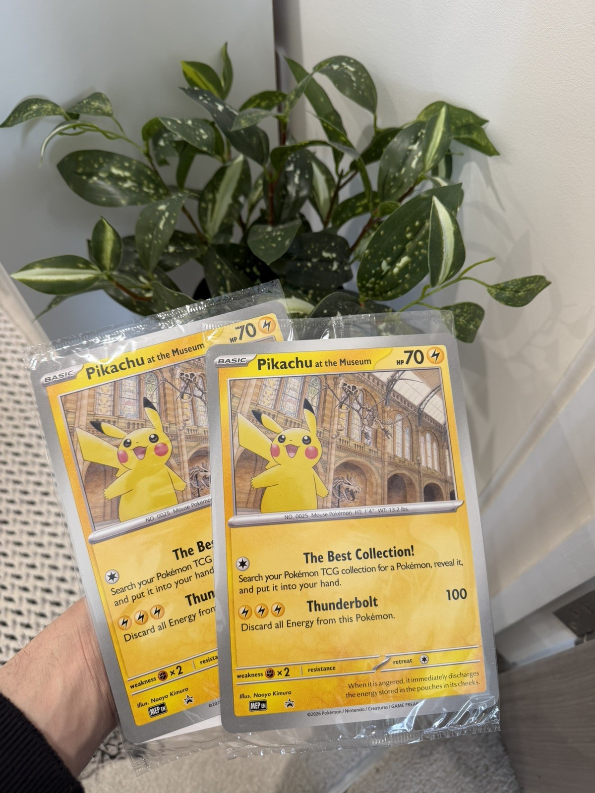 2x Pokémon x Natural History Museum Promote Card PIKACHU AT THE MUSEUM JUMBO