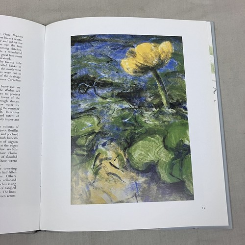 In a New Light Hardback Book by Bruce Pearson 1st First Edition 2003 NEW - Picture 13 of 24