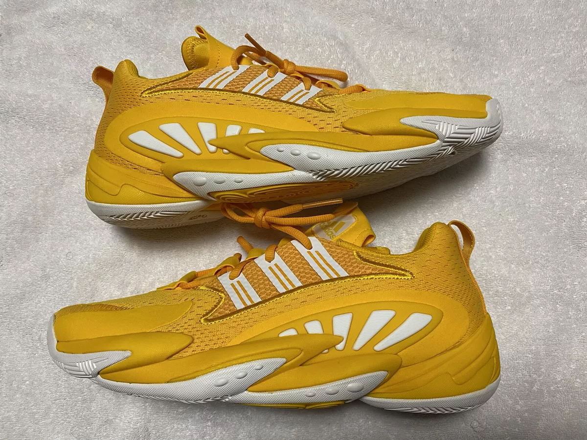 adidas Men's SM Crazy BYW 2-0 Team Basketball | Basketball