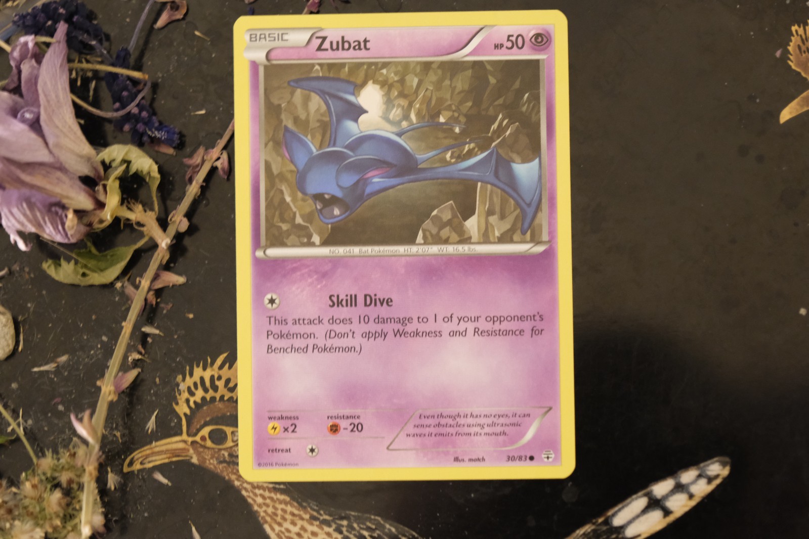 Zubat 30/83