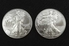 NobleSpirit (LG) Desirable American SILVER Eagle Pair 2010 Superb GEM BU