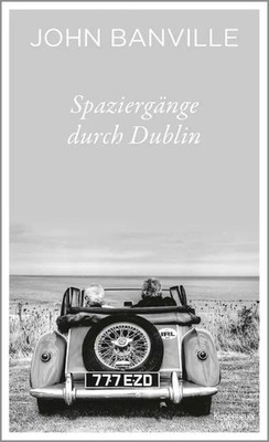 John Banville | Spaziergänge durch Dublin | Buch | Deutsch (2019) | 265 S.