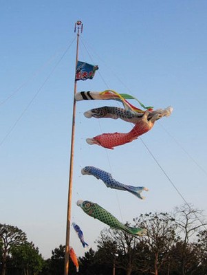 70 cm Japanischer Windsack Karpfenflagge Garten Koi Nobori Sailfish Wind