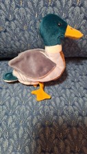 Ty Beanie Baby Jake the Mallard Duck