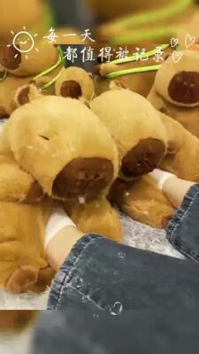 Capybara