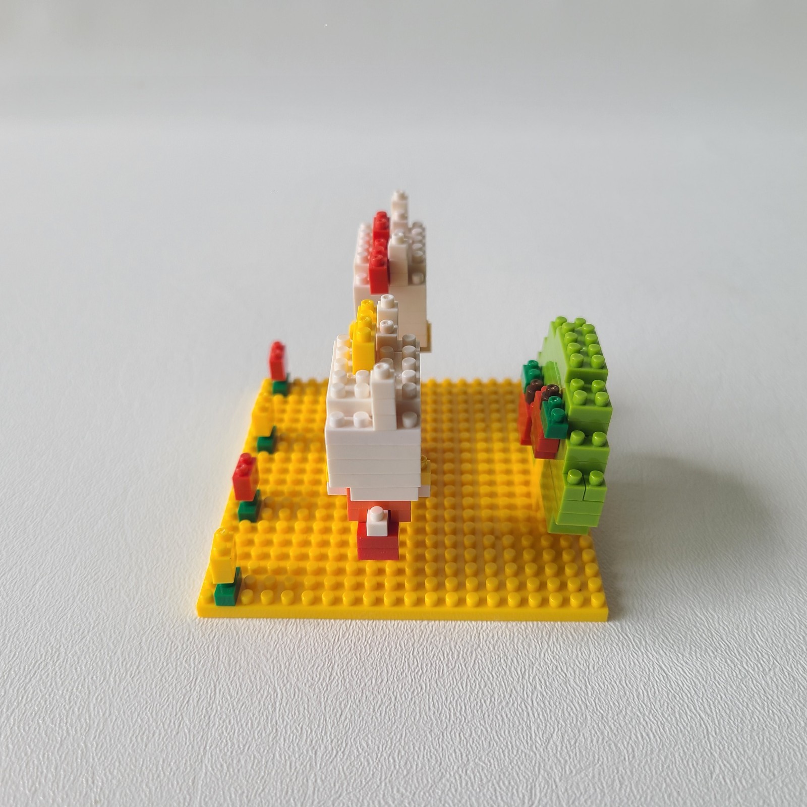 Picture 5 of 20