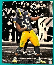 Devin Bush Pittsburgh Steelers Autograph 16x20 Photo Chicago Bears TSE Signed