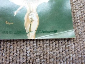 Famicom Software Model Magic Candle (With Box And Manual) Sammy FM384