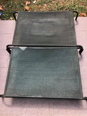 Trampoline Dog Beds In Hornsby Area Nsw Pets Gumtree Australia Free Local Classifieds
