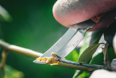 Set 7 Pezzi Sgorbie E Coltelli Da Intaglio Stubai - Per Scultura Legno, Con Borsa - Foto 4