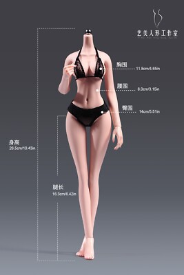 ZZ YM502H Yishu 1/6 Larg Bust Copper Suntan Seamless Woman Body