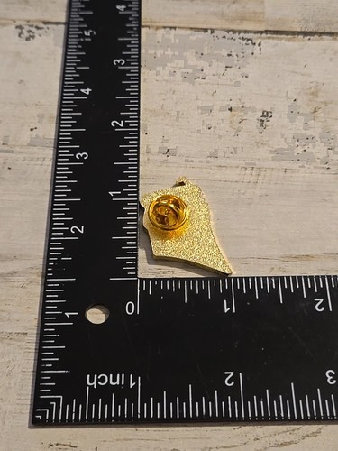 Special Olympics 2018 Golf Seattle lapel pin Q2 - Picture 2 of 2