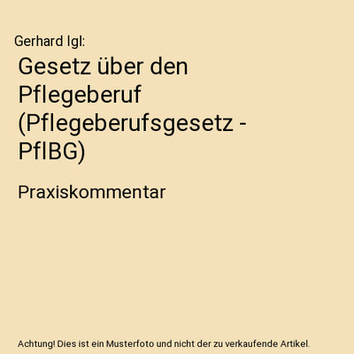 Gesetz über den Pflegeberuf [Pflegeberufsgesetz - PflBG]: Praxiskommentar: Prax
