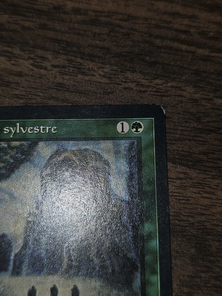 Sylvan Library (French) - "Bibliotheque sylvestre" - Renaissance (REN) - Image 3 of 4