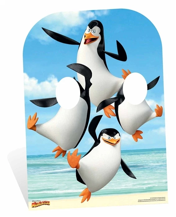 Penguin abbigliamento clearance