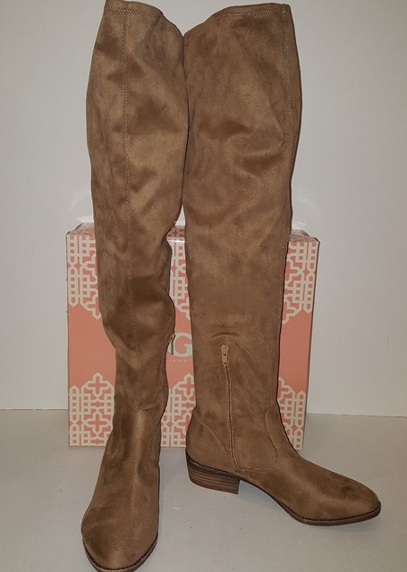 gianni bini suede booties
