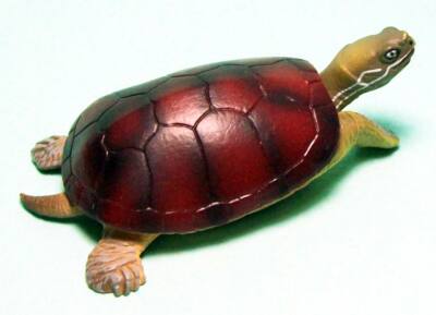 Takara Tomy 3D Capsule Encyclopedia Yellow pond turtle figure US seller new 