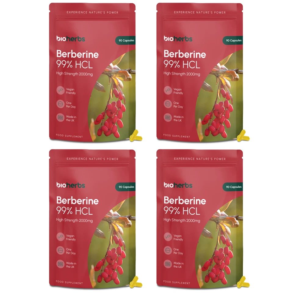 BIOHERBS Berberine 2000mg High Strength | 99% HCL | 90 One-Per-Day Capsules (Pack of 4)