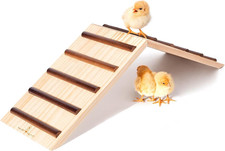 Chick Supplies, Chick Perch  Chicken Roost, Chick Stand Training Perches, Roost