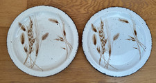 2 x MIDWINTER STONEHENGE WILD OATS STONEWARE 10.5" DINNER PLATES 