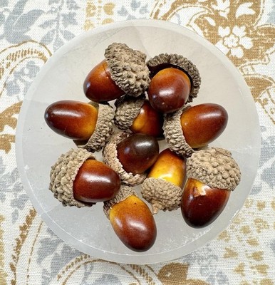 New Rustic Fall Autumn Harvest Golden Brown Small Faux Acorns Decor Set of 10