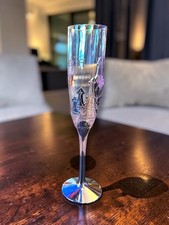 Disneyland Paris - Unbreakable champagne glass - World of Frozen