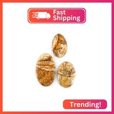 CRYSTALINES 3pcs Wholesale Natural Imperial Jasper Gemstones Cabochon Lot Mix Sh