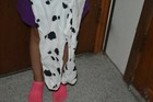 Picture 4 of 9