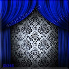 Indoor 10'x10' Computer-painted CP Scenic Photo Background Backdrop SN366B881