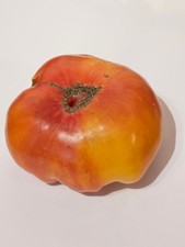 Mr Fothergill?s Tomato Seeds ? Choose Variety ? Moneymaker/Red Pear/Ananas
