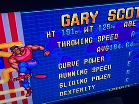 FLYING POWER DISC NEO GEO ROM SNK Japan Import Free shipping FedEx DHL Tested