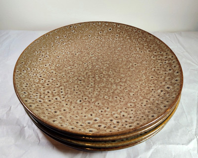 Tabletops Unlimited Quattro Reactive Glaze Dinner Plates Seaweed Black Set of 4